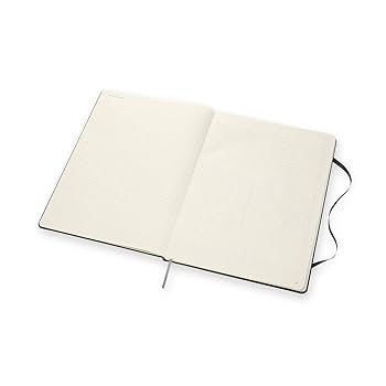 Amazon.com : Moleskine A4 Size 21 x 29.7 cm Pro Notebook